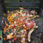 Compost descomponiendose