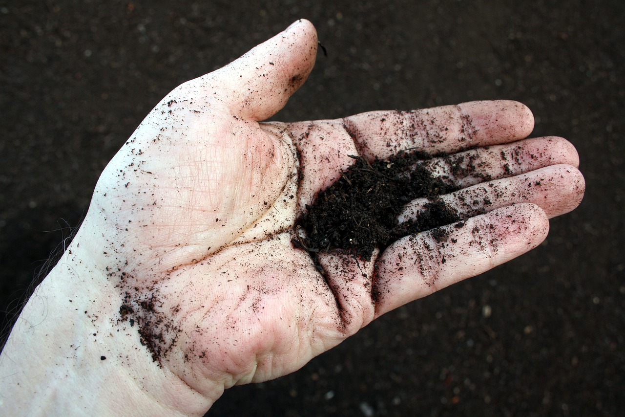 mano que sostiene sustrato para huerto